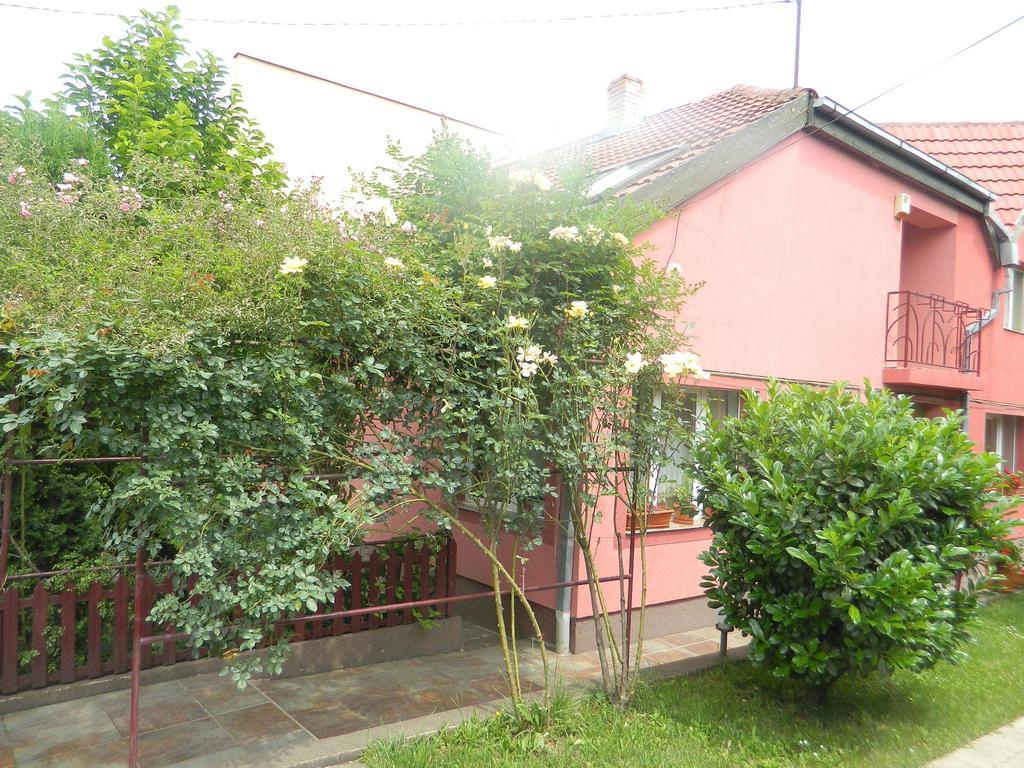 Hotel Cazare Vio Kluż-Napoka Zewnętrze zdjęcie