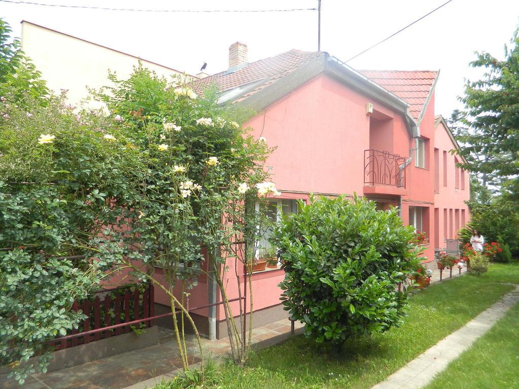 Hotel Cazare Vio Kluż-Napoka Zewnętrze zdjęcie